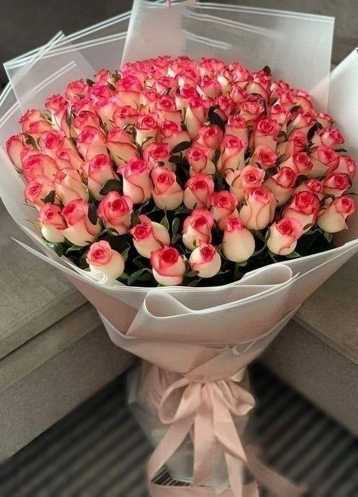 Harmony's Heartbeat - Lush Bouquet Symphony